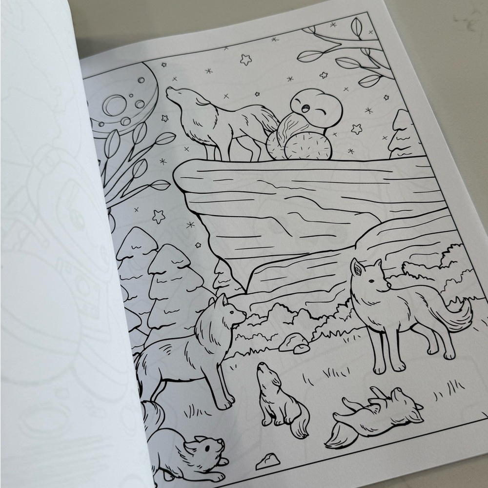ADULT Coloring Book Set - Picture 7 of 9